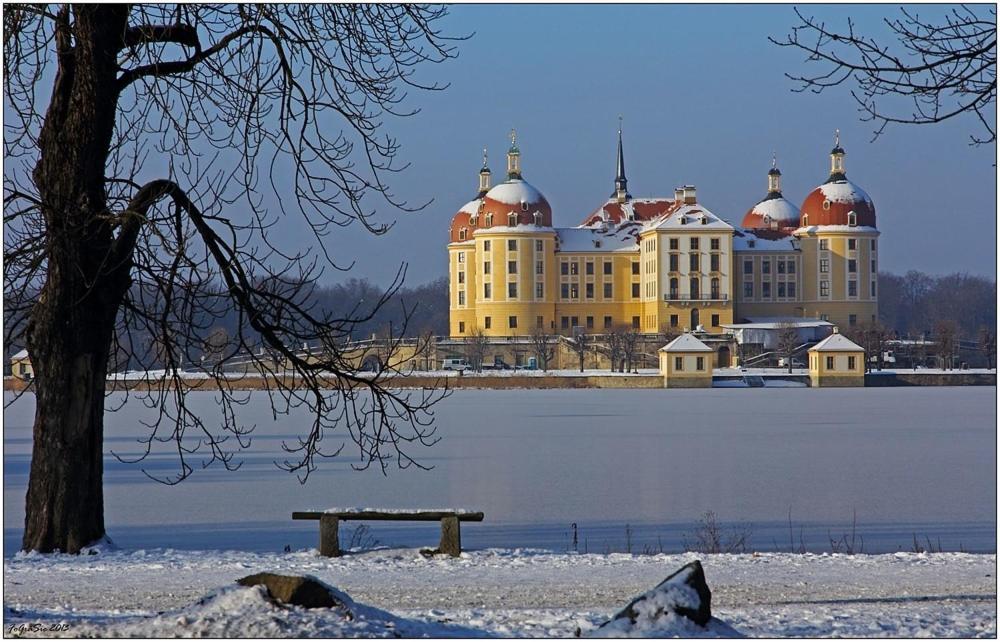 Gartenhaus Klotzsche Дрезден Екстериор снимка